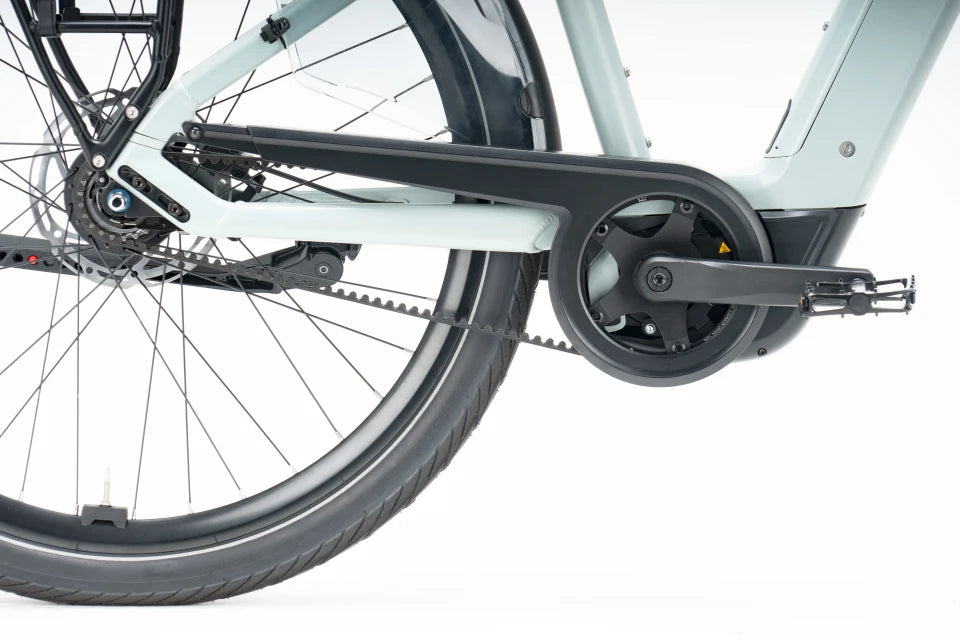 Pegasus Ravenna EVO 8F Belt