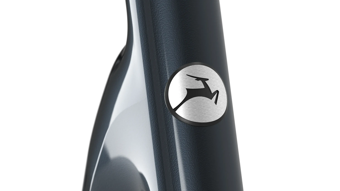 Gazelle Grenoble C5 Heren