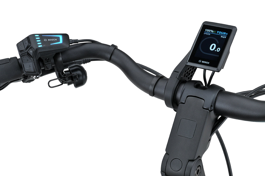 Batavus Finez PT Exclusive Plus Flex accu