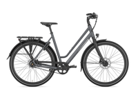 Gazelle Chamonix S11