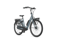 Gazelle Bloom C7