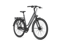 Gazelle Chamonix S11