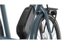 Gazelle Bloom C7