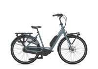 Gazelle Bloom C7