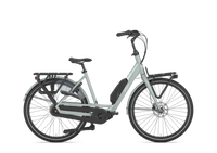 Gazelle Bloom C7