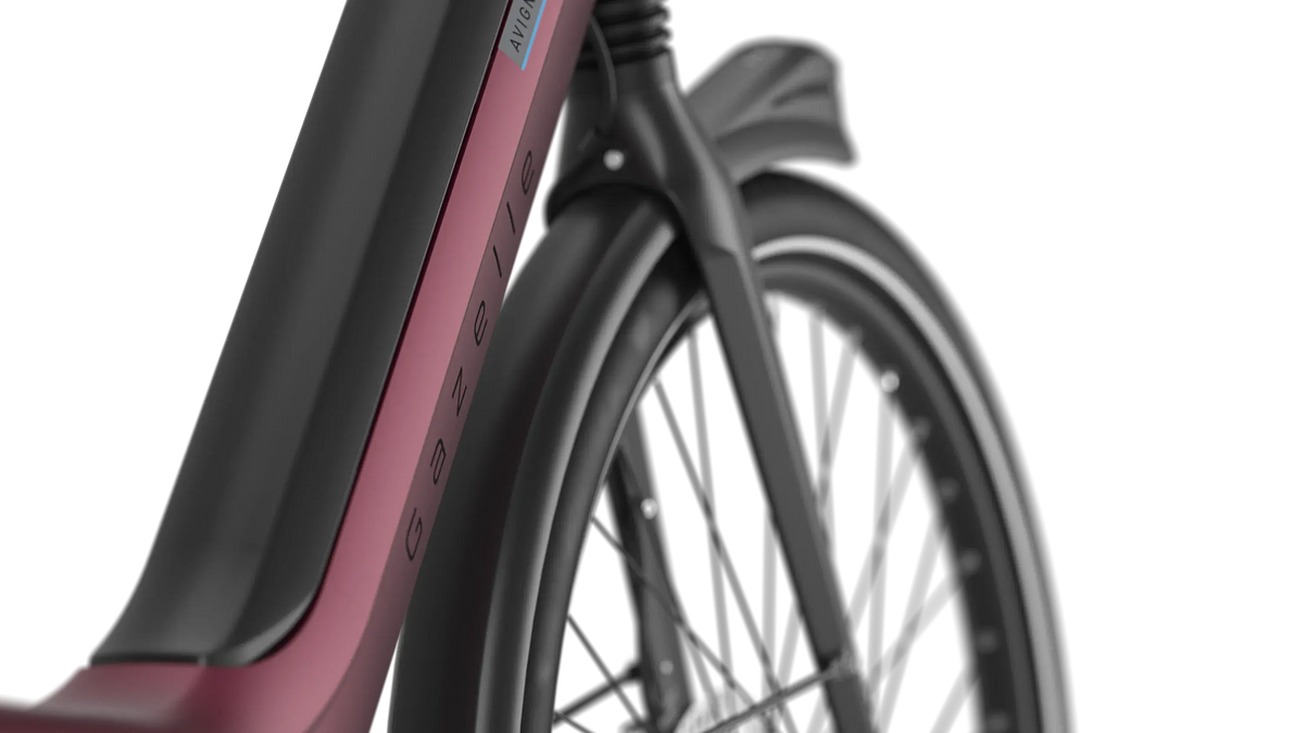 Gazelle Avignon C8