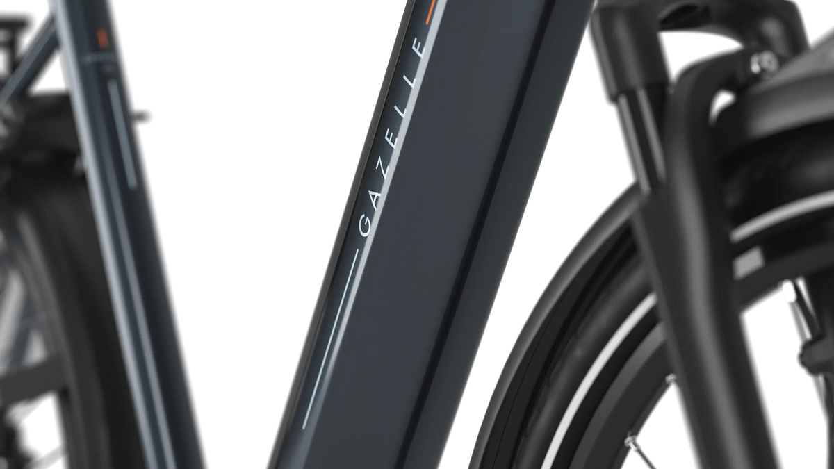 Gazelle Grenoble C5 Heren