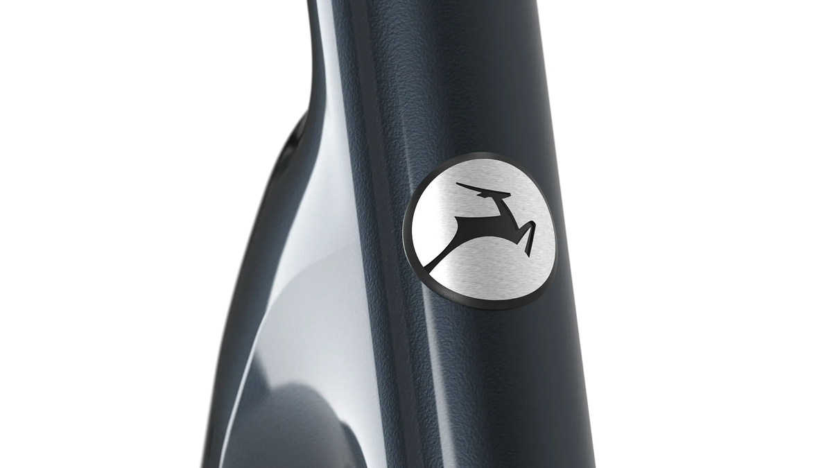 Gazelle Grenoble C5 Heren