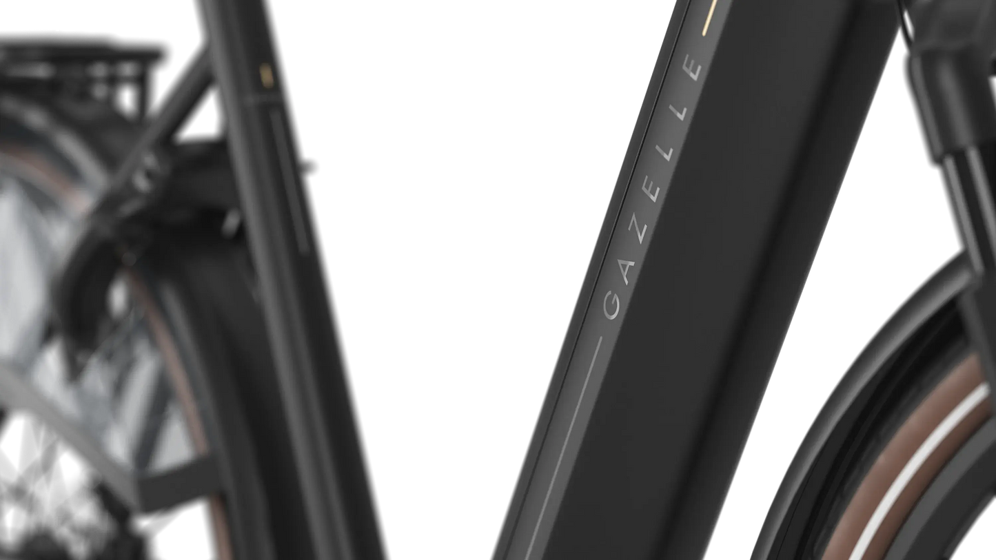 Gazelle Grenoble C8+ Heren
