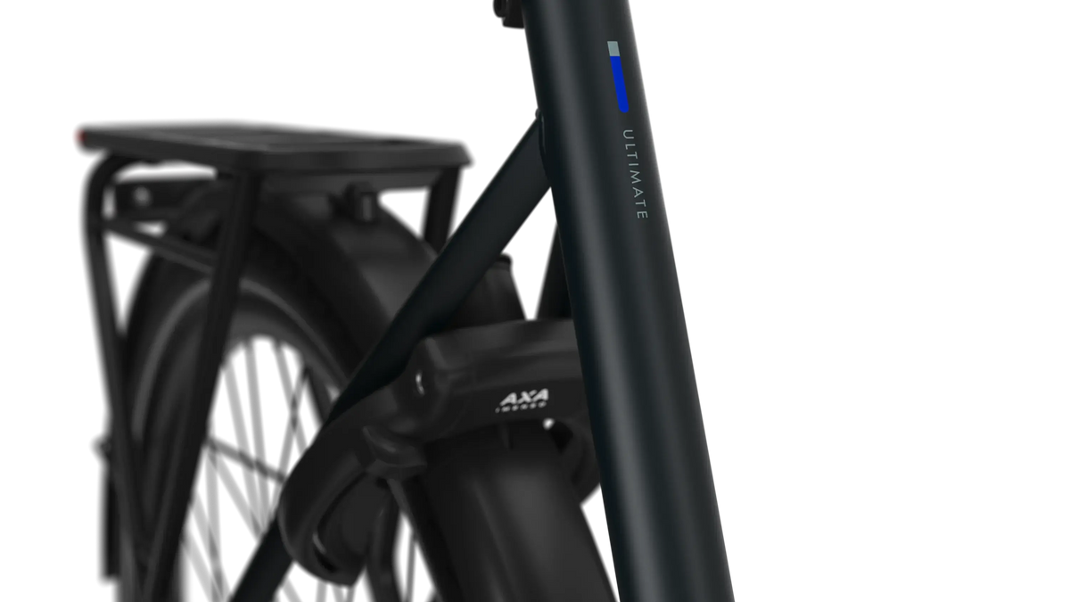 Gazelle Ultimate C380 PX Heren