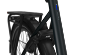 Gazelle Ultimate C380 PX Heren