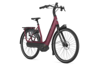 Gazelle Avignon C8
