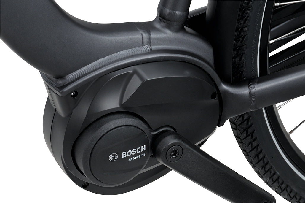 Batavus Altura CP Flex accu