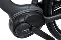 Batavus Altura CP Flex accu