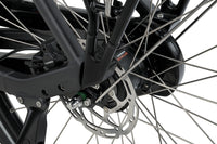 Batavus Altura CP Flex accu