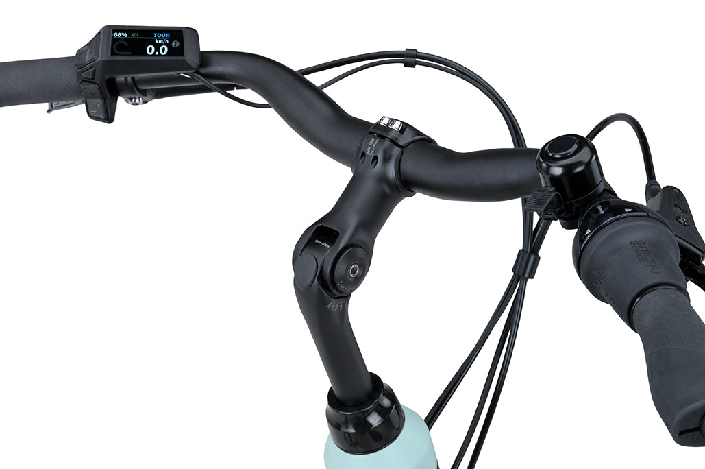 Batavus Altura PT Pro Incl. 500wh