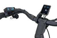 Batavus Finez PT Exclusive Plus Flex accu