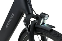 Batavus Finez PT Exclusive Plus Flex accu