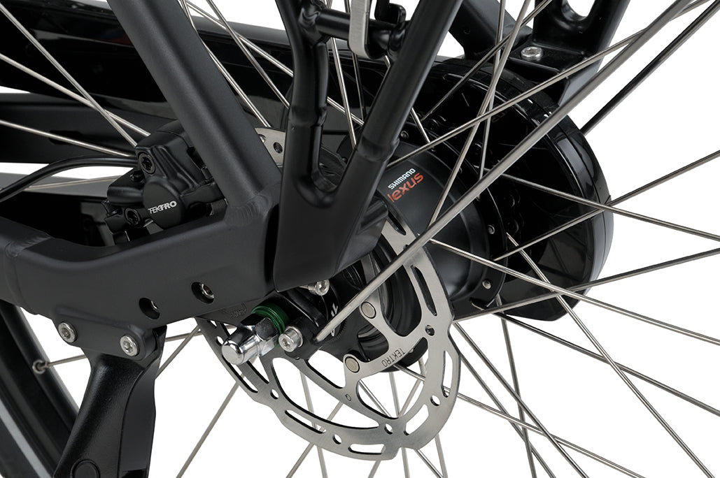 Batavus Altura CP Flex accu