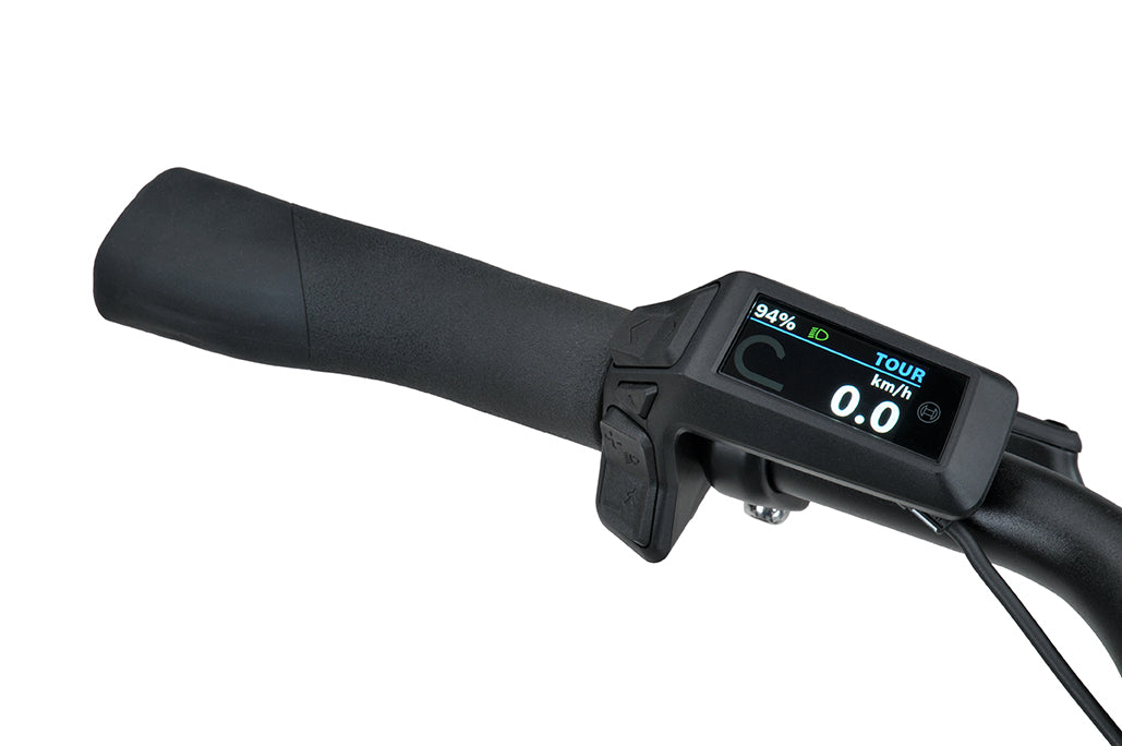 Batavus Altura CP Flex accu