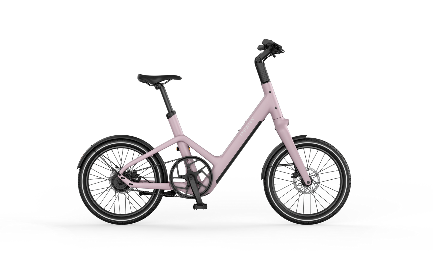Reany C1 Compact