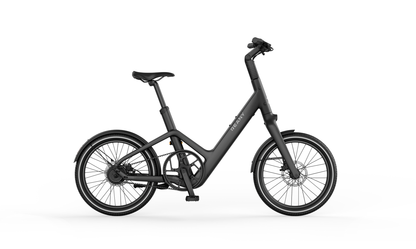 Reany C1 Compact