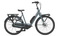 Gazelle Bloom C7