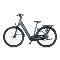 Huyser Domaso Stone Grey Matte lage instap frame