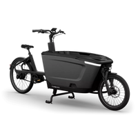 Tenways Cargo 960 wh