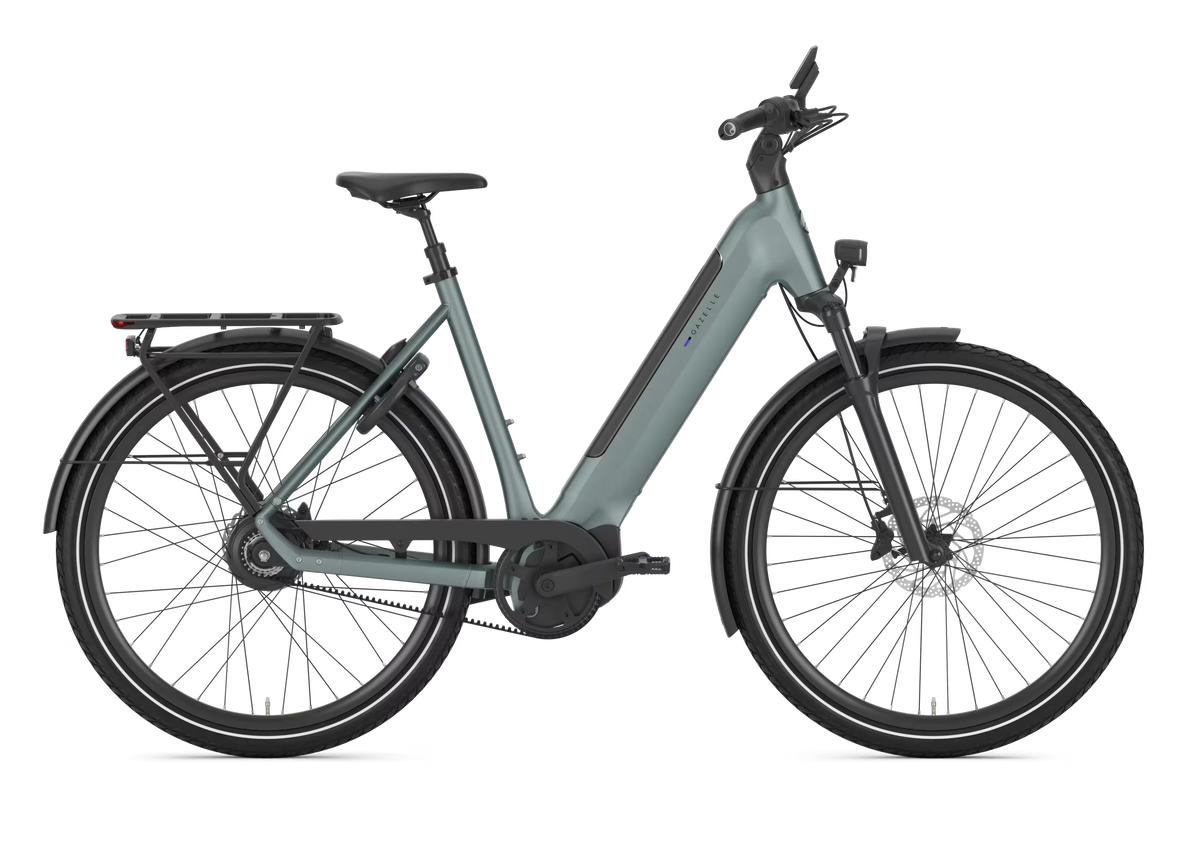 Gazelle Ultimate C380 PX Dew Green lage instap