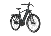 Gazelle Ultimate C380 PX Heren