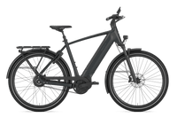Gazelle Ultimate C380 PX Teal Grey hoge instap