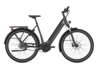 Gazelle Ultimate C5 Anthracite Grey lage instap