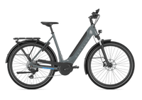 Gazelle Ultimate T10 lage instap