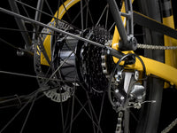 Trek Verve+ 1 LT Lowstep