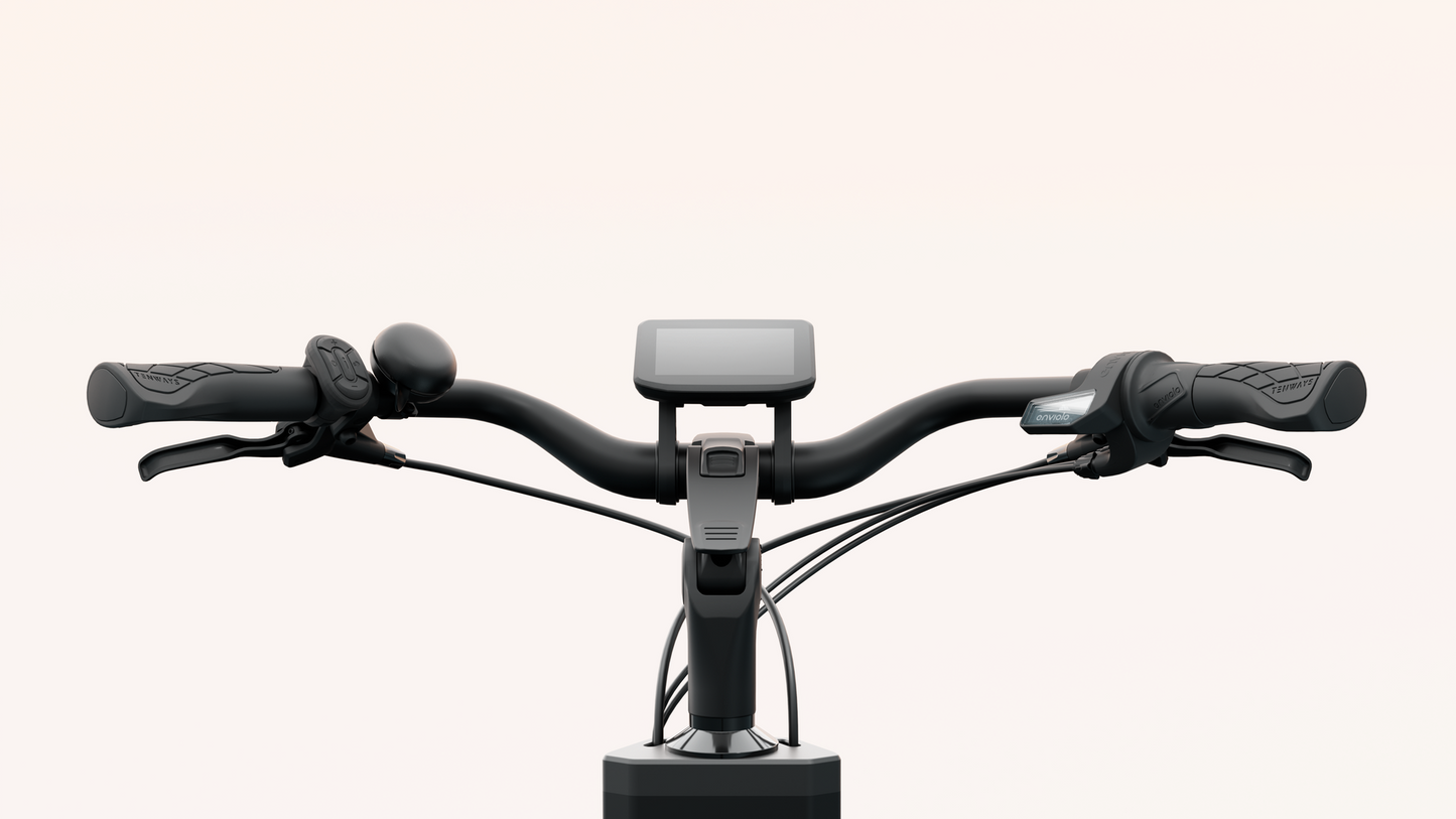 Tenways Cargo 960 wh