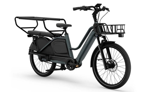 Tenways Longtail Duo 720 wh