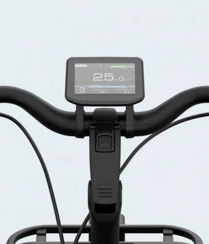 Tenways Longtail Duo 720 wh