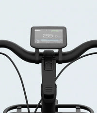 Tenways Longtail Duo 720 wh