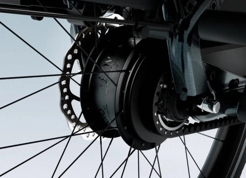 Tenways Longtail Duo 720 wh